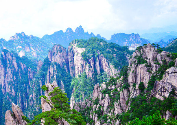 华山松林,山峰,绝壁