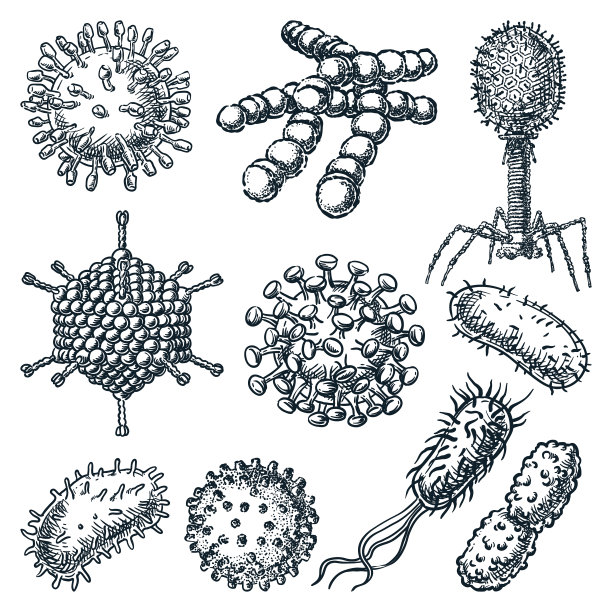 细菌病毒图标集。草图