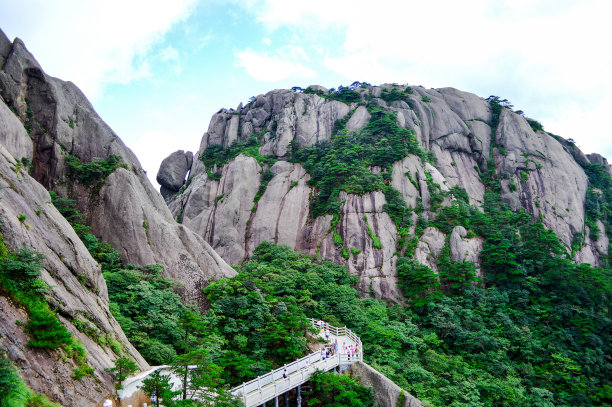 华山松林,山峰,绝壁