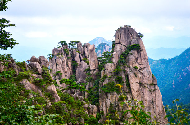 华山松林,山峰,绝壁