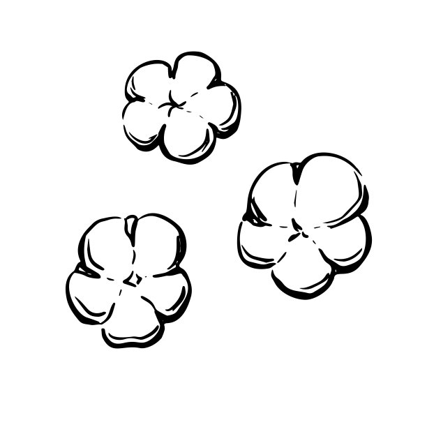 卸妆棉logo