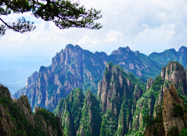 华山松林,山峰,绝壁