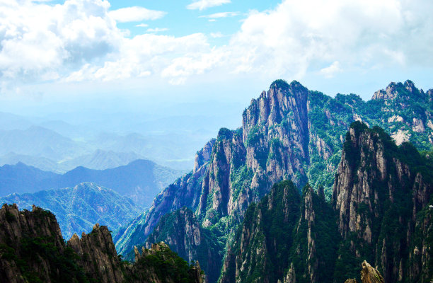 华山松林,山峰,绝壁