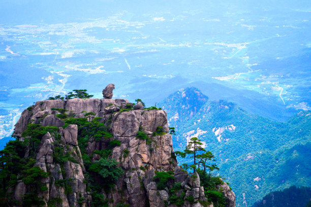 华山松林,山峰,绝壁