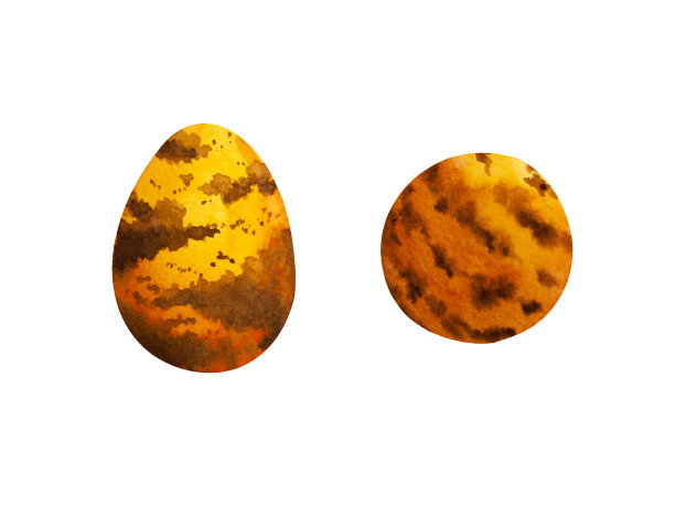 鸡蛋壳彩绘