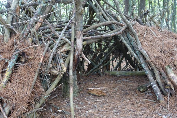 树林里的小屋