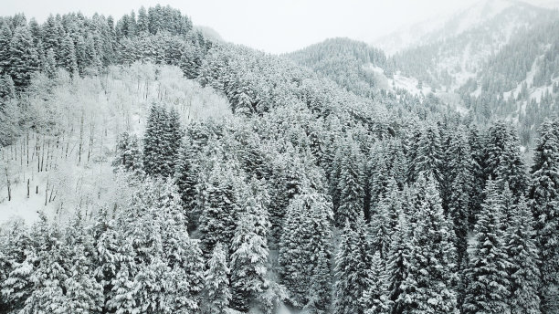 风雪天山