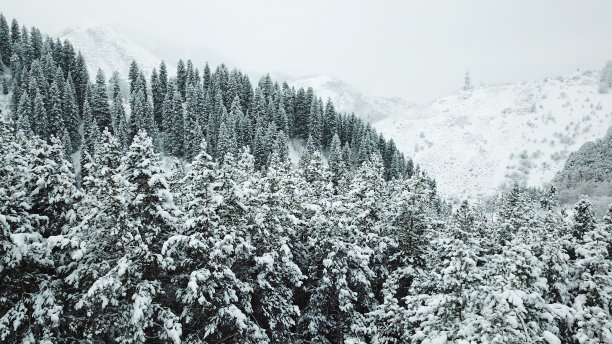 风雪天山