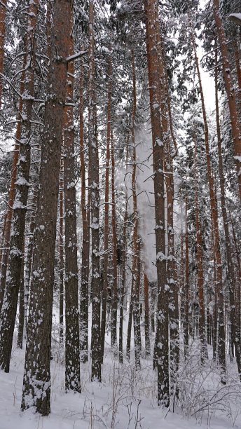 风雪天山