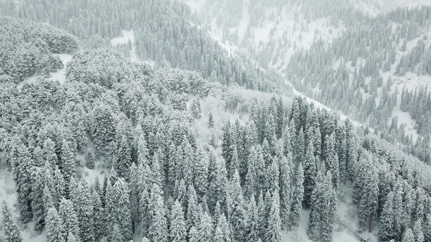 风雪天山