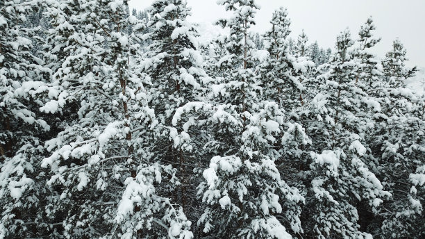 风雪天山