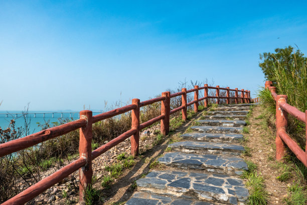 港珠澳大桥全景