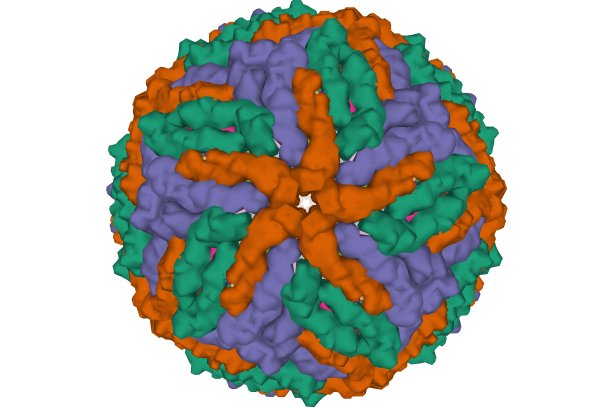 寨卡病毒模型