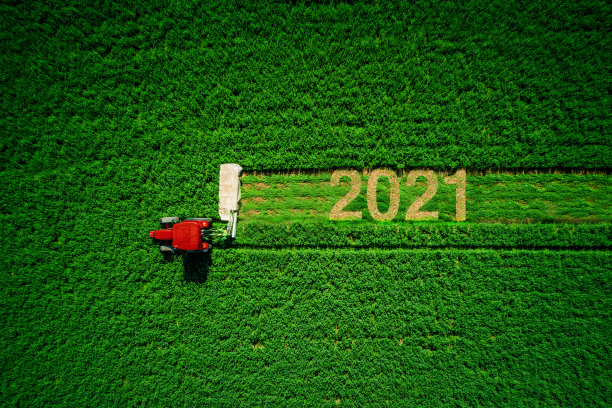 2021土地日