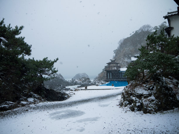 下雪的冬天雪松和房子