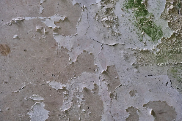 苔藓斑驳潮湿墙面