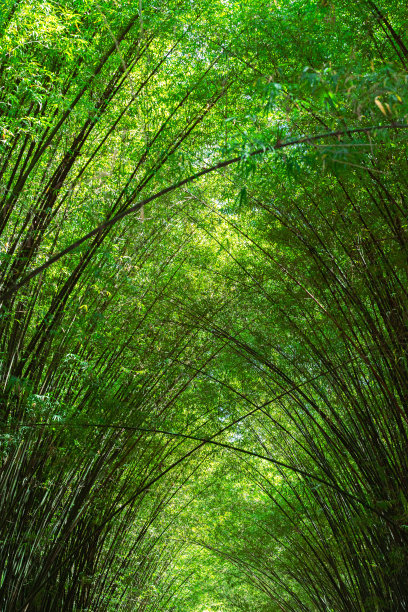 竹林寺风景