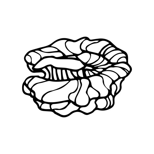 核桃logo