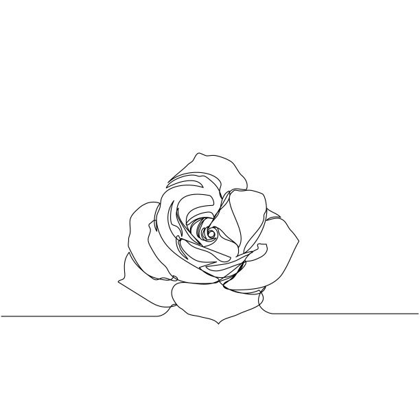 玫瑰花高清白底艺术