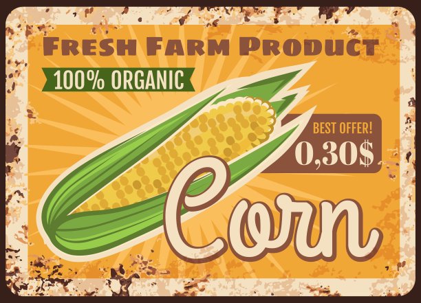 玉米膳食产品宣传海报