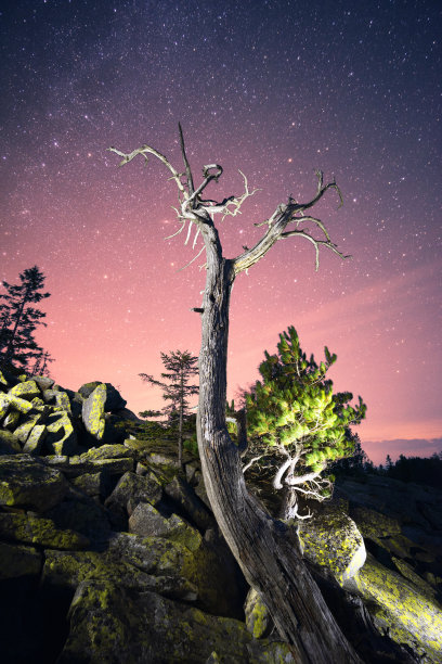 高山星空摄影