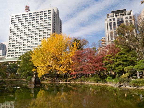 银杏广场水池喷泉