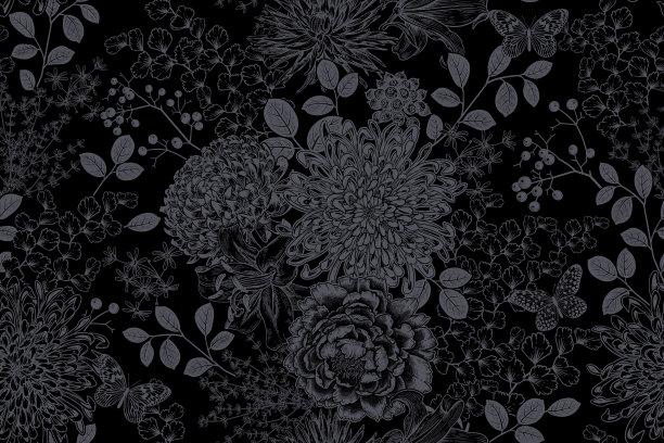 黑暗中的牡丹百合花暗色装饰背景