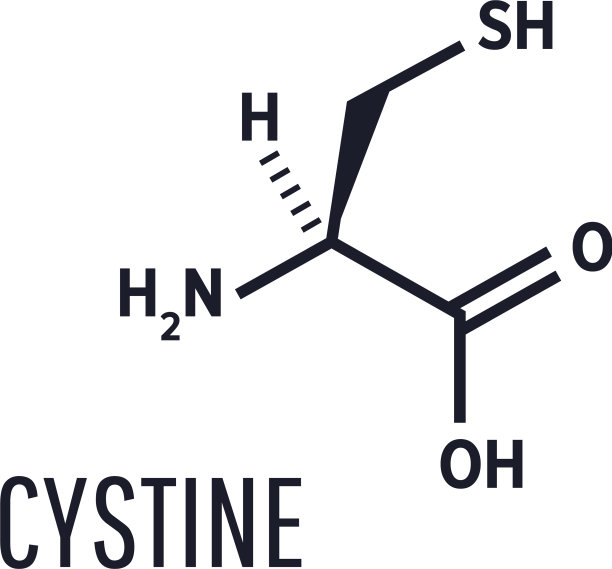 分子维生素c图片