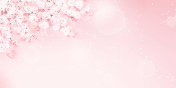 粉色樱花春天梦幻风景