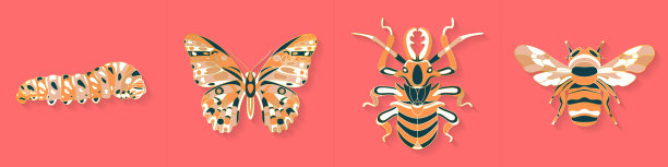 七彩甲虫logo