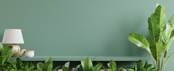 室内绿植背景 画框 