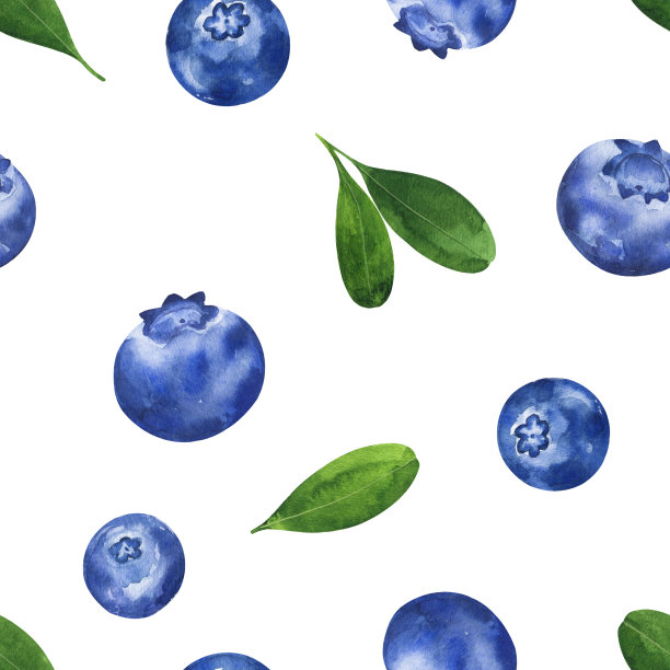 有机蓝莓包装设计