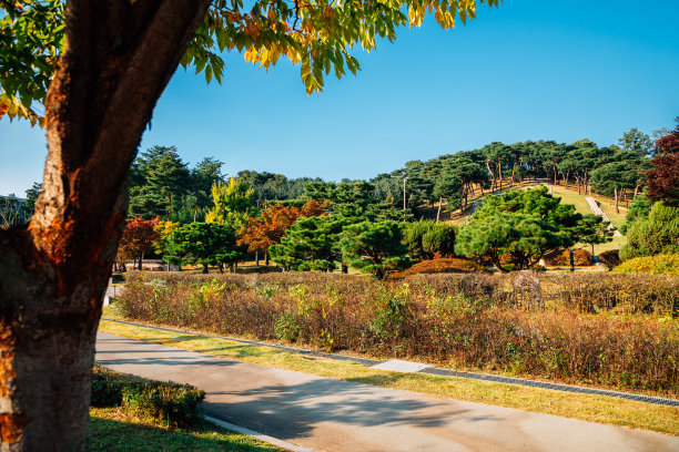 韩国水原风光