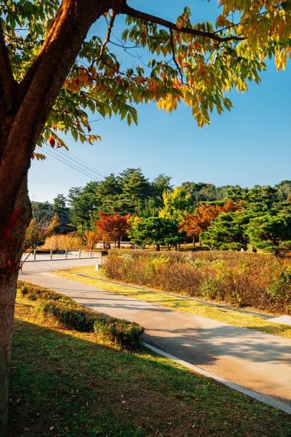 韩国水原风光