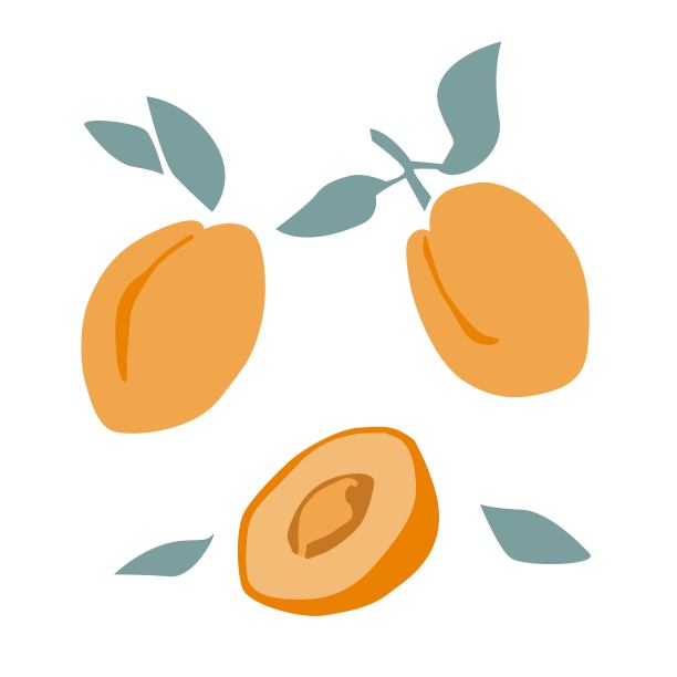 果农logo