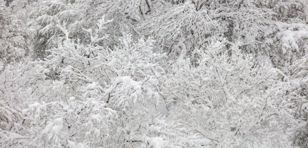 雪花冬季纹理小寒banner