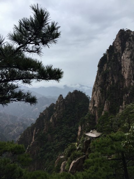 华山松林,山峰,绝壁