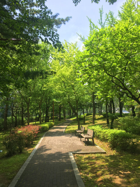 公园,安城市,自然,季节,垂直画幅,风景,图像,春天,无人,韩国