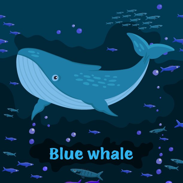 鲸鱼标本