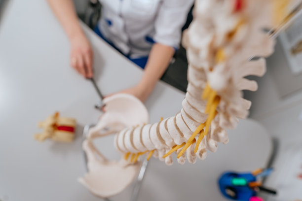 物理治疗师对患者解释脊柱模型