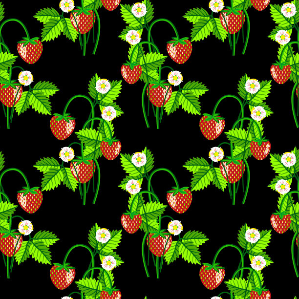 日式草莓包装