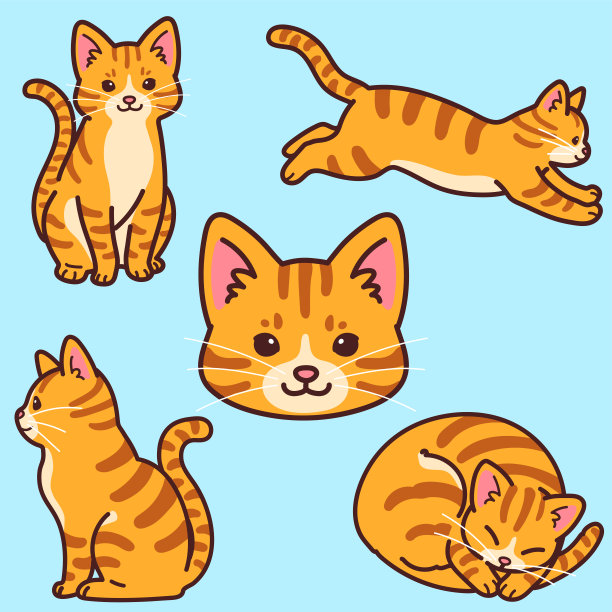 橘猫logo