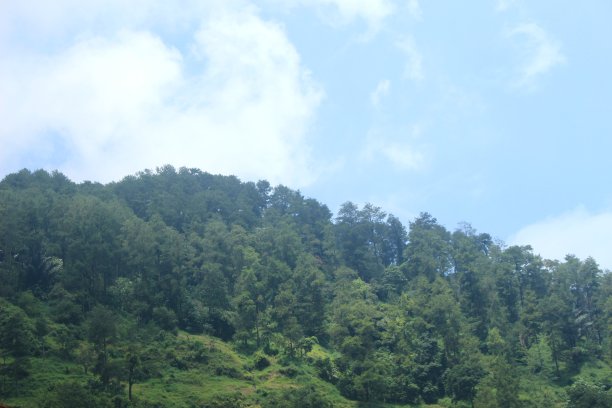 夏令营 丛林探险