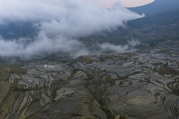 南方稻田