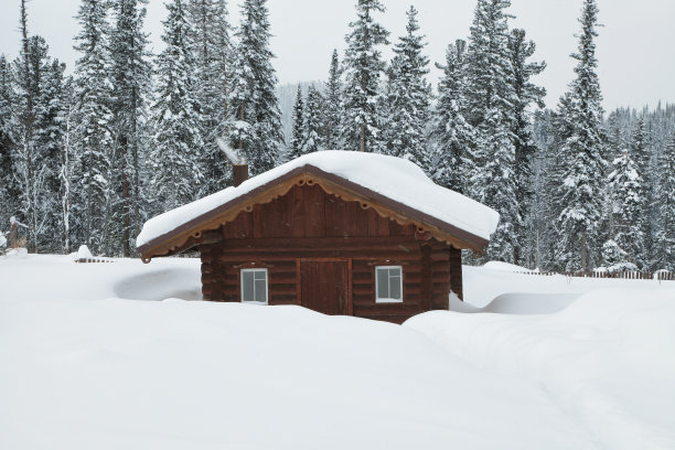 下雪的冬天雪松和房子