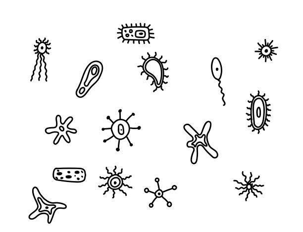 细菌病毒图标集。草图
