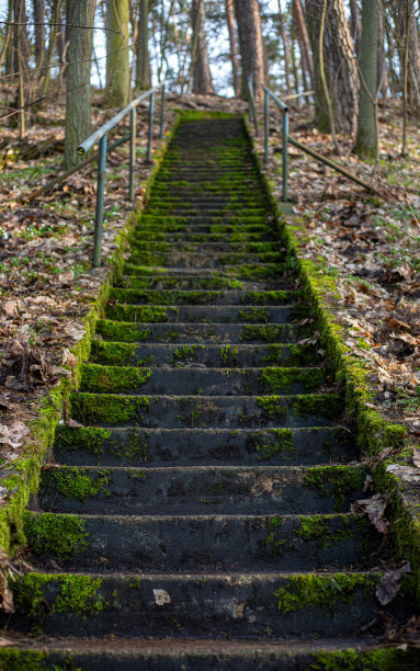 生态文明建设楼梯