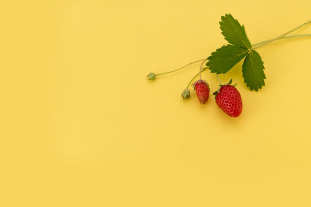 春季草莓水果生鲜海报
