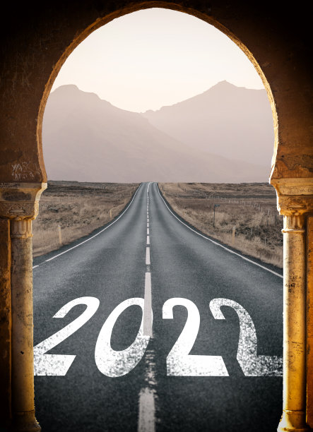 2021新年拱门