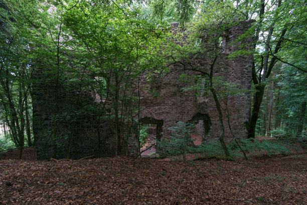 欧式复古城堡阳光树林